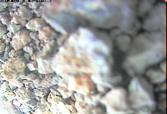 ccat0_20060827110000.jpg