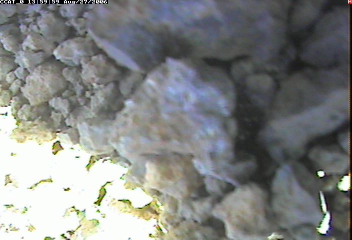 ccat0_20060827135959.jpg