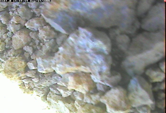 ccat0_20060827155959.jpg