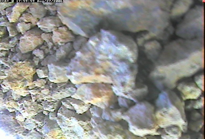 ccat0_20060827175959.jpg
