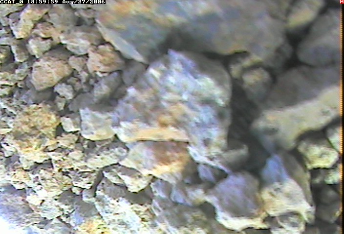 ccat0_20060827185959.jpg