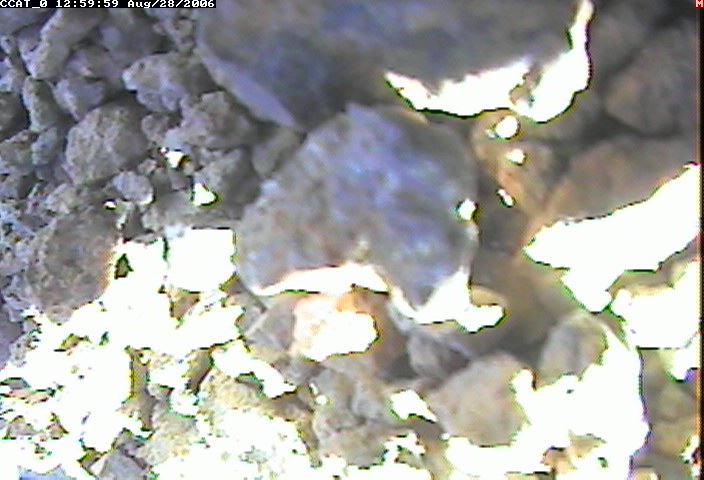 ccat0_20060828125959.jpg