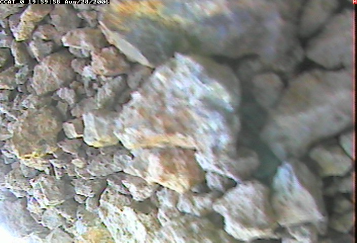 ccat0_20060828195958.jpg
