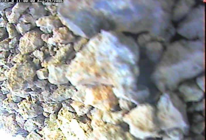 ccat0_20060829110000.jpg