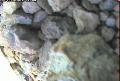 ccat0_20060802120000