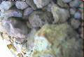 ccat0_20060802130001