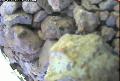 ccat0_20060802135959