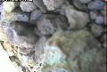 ccat0_20060803120001