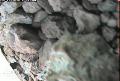 ccat0_20060803220001