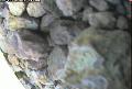 ccat0_20060808120000