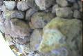 ccat0_20060808125959