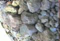 ccat0_20060810120001