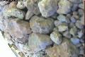 ccat0_20060810125958