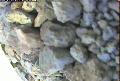 ccat0_20060811115959