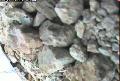 ccat0_20060813205959