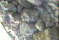 ccat0_20060816190000