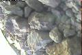 ccat0_20060817185959