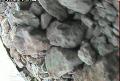 ccat0_20060818220001