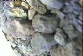 ccat0_20060819120001