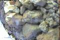ccat0_20060819135959