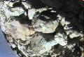 ccat0_20060819170000