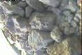 ccat0_20060819185959