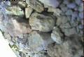 ccat0_20060821115958