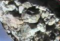 ccat0_20060821165959