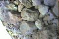 ccat0_20060823120001