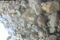 ccat0_20060825125959