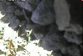 ccat0_20060825160000