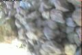 ccat0_20060825170000