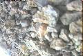 ccat0_20060825195959