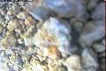 ccat0_20060826110001