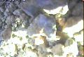 ccat0_20060826130000