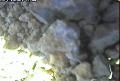 ccat0_20060826140000