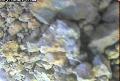 ccat0_20060826180000