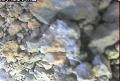ccat0_20060826190001