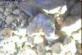 ccat0_20060827125959