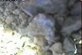 ccat0_20060827135959