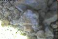 ccat0_20060827145958