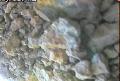 ccat0_20060827200000