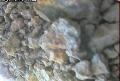 ccat0_20060827205959