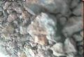ccat0_20060827220000