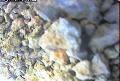 ccat0_20060828105959
