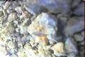 ccat0_20060828115959