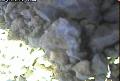 ccat0_20060828135958