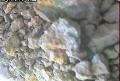 ccat0_20060828195958