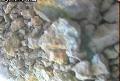 ccat0_20060828205959