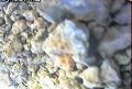 ccat0_20060829110000